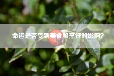 命运是否受到美食和烹饪的影响？  第1张
