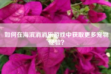 如何在海滨消消乐游戏中获取更多宠物经验？  第1张