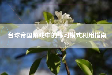 台球帝国游戏中的练习模式利用指南  第1张
