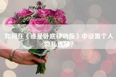 如何在《谁是卧底移动版》中设置个人隐私选项？  第1张