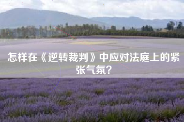 怎样在《逆转裁判》中应对法庭上的紧张气氛？  第1张