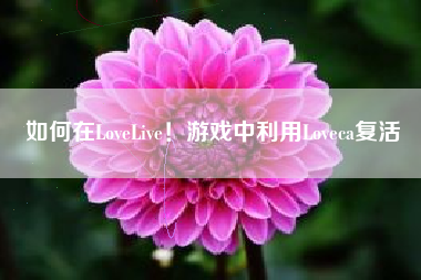 如何在LoveLive！游戏中利用Loveca复活  第1张
