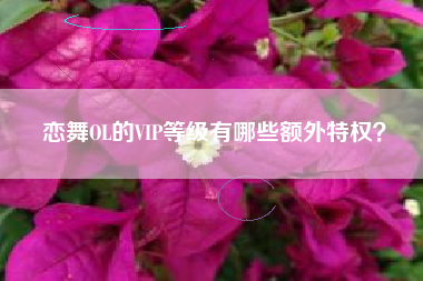 恋舞OL的VIP等级有哪些额外特权？  第1张