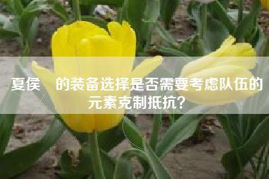 夏侯惇的装备选择是否需要考虑队伍的元素克制抵抗？  第1张