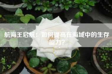 航海王启航：如何提高在海域中的生存能力？  第1张