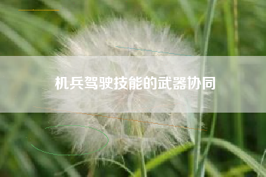 机兵驾驶技能的武器协同  第1张