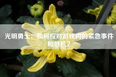 光明勇士：如何应对游戏内的紧急事件和危机？  第1张