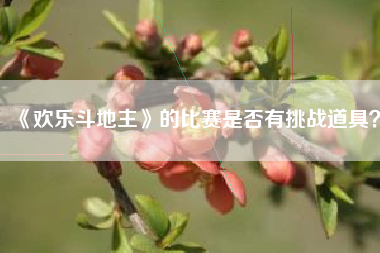 《欢乐斗地主》的比赛是否有挑战道具？  第1张