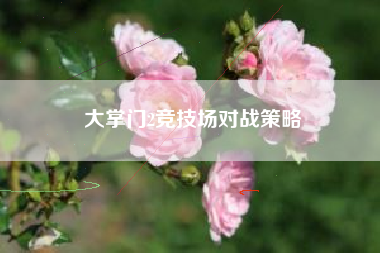 大掌门2竞技场对战策略  第1张
