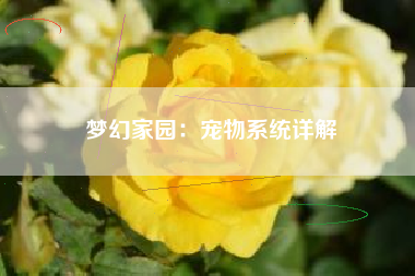 梦幻家园：宠物系统详解  第1张