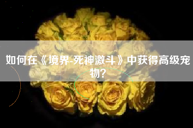 如何在《境界-死神激斗》中获得高级宠物？  第1张