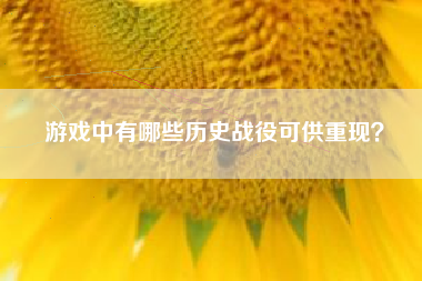 游戏中有哪些历史战役可供重现？  第1张