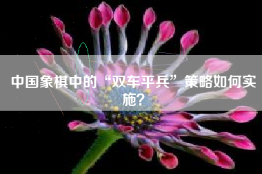 中国象棋中的“双车平兵”策略如何实施？  第1张