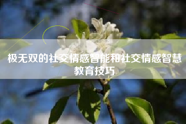 极无双的社交情感智能和社交情感智慧教育技巧  第1张
