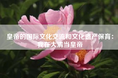 皇帝的国际文化交流和文化遗产保育：我在大清当皇帝  第1张