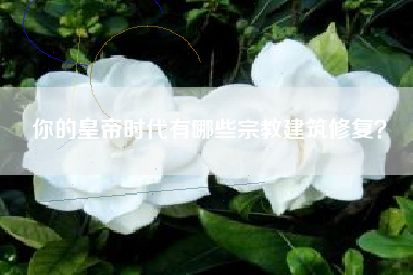你的皇帝时代有哪些宗教建筑修复？  第1张
