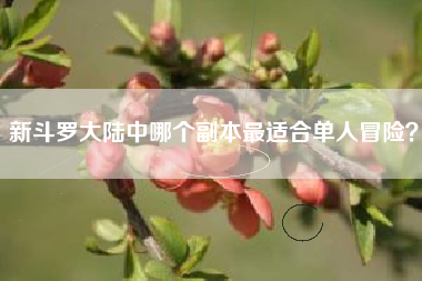 新斗罗大陆中哪个副本最适合单人冒险？  第1张