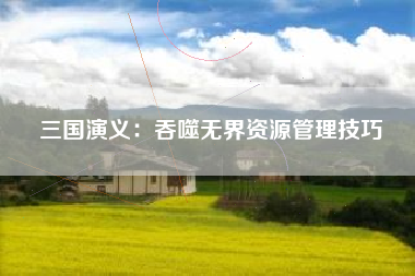 三国演义：吞噬无界资源管理技巧  第1张
