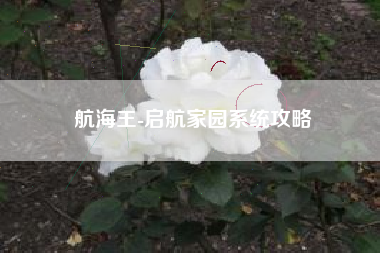 航海王-启航家园系统攻略  第1张