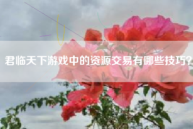 君临天下游戏中的资源交易有哪些技巧？  第1张