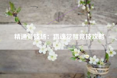 精通竞技场：猎魂觉醒竞技攻略  第1张