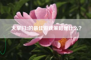 大掌门2的最佳游戏策略是什么？  第1张