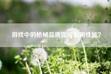 游戏中的枪械品质如何影响性能？  第1张