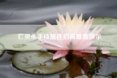 亡灵杀手技能连招高难度演示  第1张