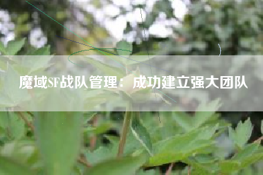 魔域SF战队管理：成功建立强大团队  第1张