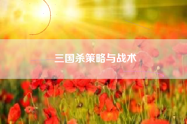 三国杀策略与战术  第1张