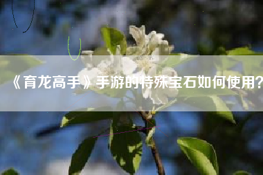 《育龙高手》手游的特殊宝石如何使用？  第1张