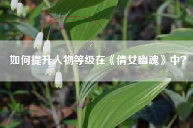 如何提升人物等级在《倩女幽魂》中？  第1张