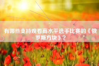 有哪些支持观看高水平选手比赛的《俄罗斯方块》？  第1张