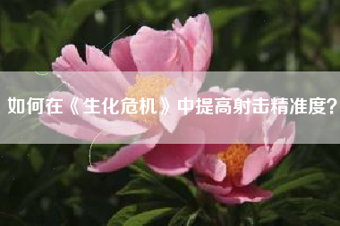 如何在《生化危机》中提高射击精准度？  第1张