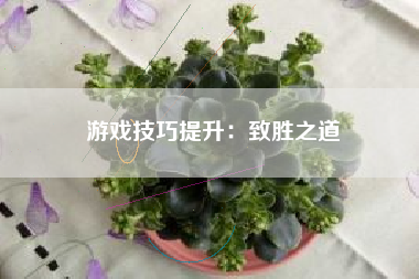 游戏技巧提升：致胜之道  第1张