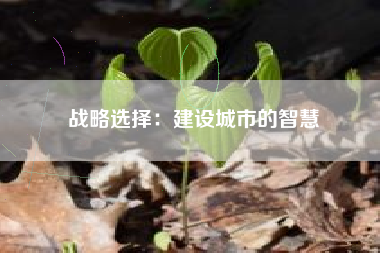 战略选择：建设城市的智慧  第1张