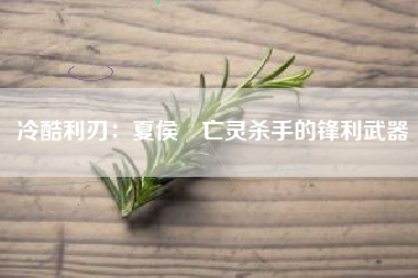 冷酷利刃：夏侯惇亡灵杀手的锋利武器  第1张