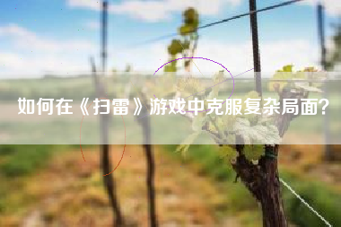 如何在《扫雷》游戏中克服复杂局面？  第1张