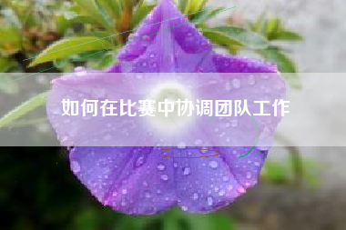 如何在比赛中协调团队工作  第1张