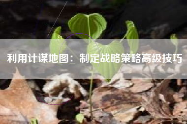 利用计谋地图：制定战略策略高级技巧  第1张