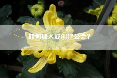 如何加入或创建公会？  第1张
