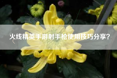 火线精英手游射手枪使用技巧分享？  第1张