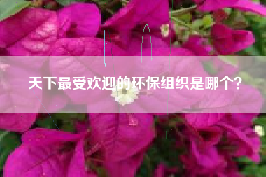 天下最受欢迎的环保组织是哪个？  第1张