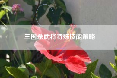 三国杀武将特殊技能策略  第1张