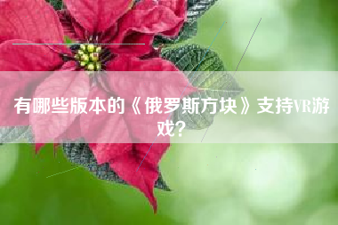 有哪些版本的《俄罗斯方块》支持VR游戏？  第1张