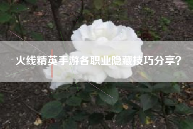 火线精英手游各职业隐藏技巧分享？  第1张