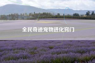 全民奇迹宠物进化窍门  第1张