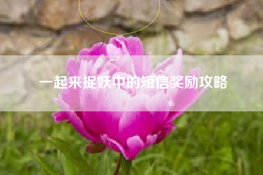 一起来捉妖中的短信奖励攻略  第1张