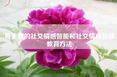 极无双的社交情感智能和社交情感智慧教育方法  第1张