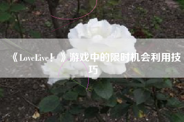 《LoveLive！》游戏中的限时机会利用技巧  第1张